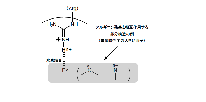 解説画像